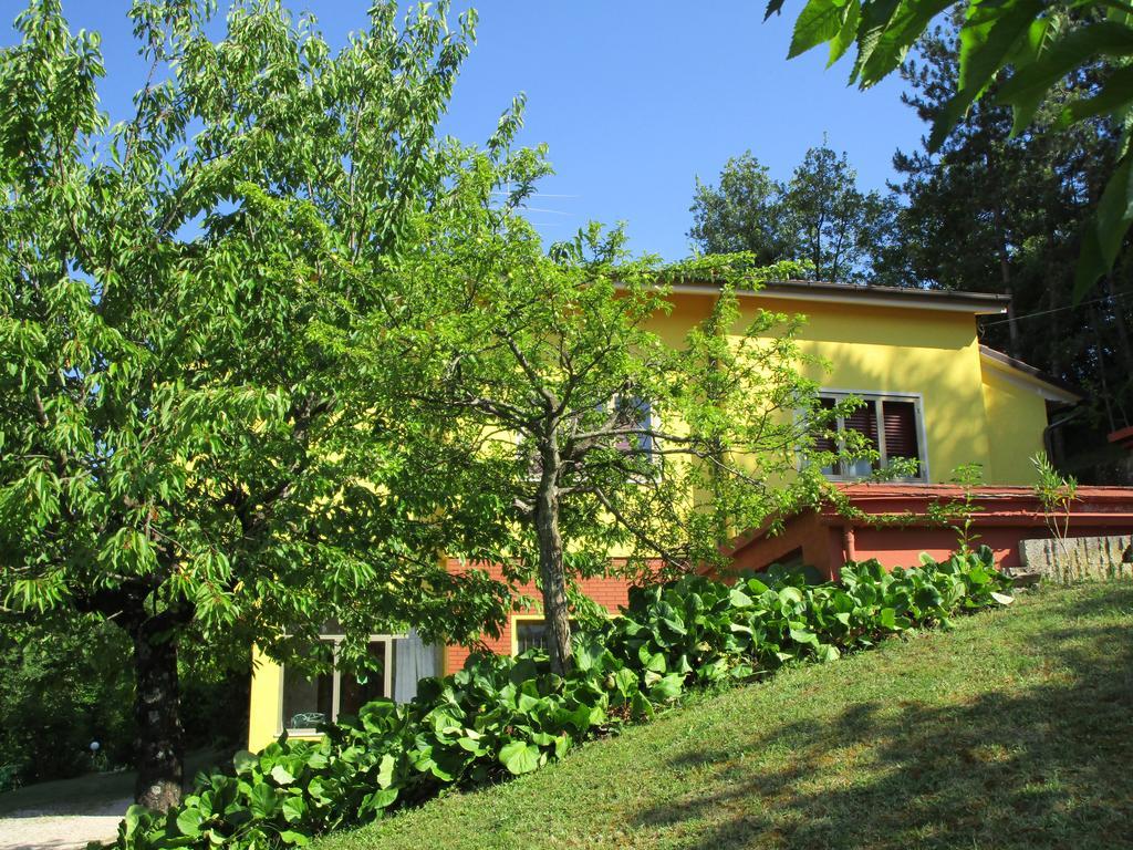 Casa Balducci Bed&Breakfast Mercatello sul Metauro Exteriér fotografie