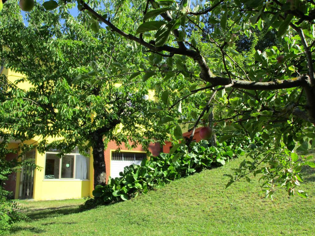 Casa Balducci Bed&Breakfast Mercatello sul Metauro Exteriér fotografie