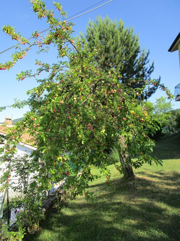 Casa Balducci Bed&Breakfast Mercatello sul Metauro Exteriér fotografie